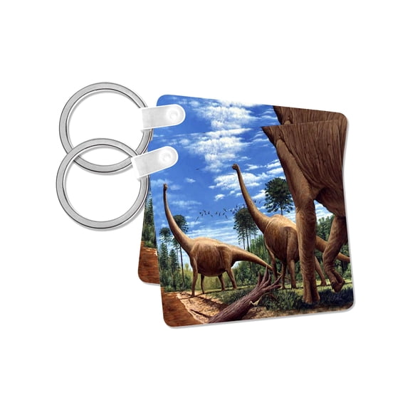 3dRose, Dinosaur Brachiosaurus, set of 2 Key Chains