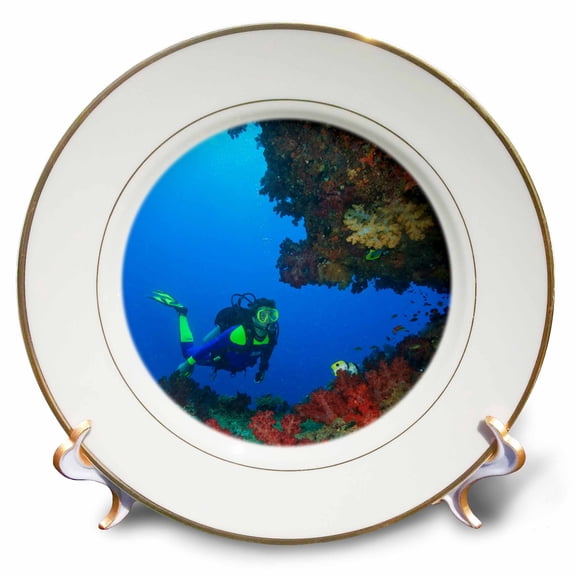 3dRose, Diver, Coral-lined Arc, Beqa Island, Fiji - OC01 SWS0111 - Stuart Westmorland, 8 inch Porcelain Plate