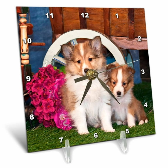 3dRose, Dogs - Shetland Sheepdog puppies sitting by small wooden wagon., 6x6 Desk Clock