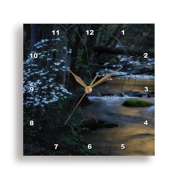 3dRose, Dogwood blooms along a mountain creek in late afternoon, 15x15 Wall Clock
