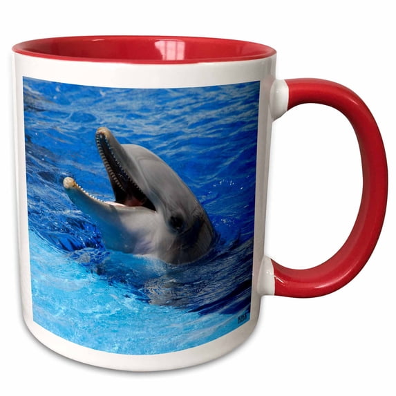 3drose, Dolphin with Its Mouth Open at Oceanographic Aquarium in Valencia, Spain, 15oz Two-tone Red Mug