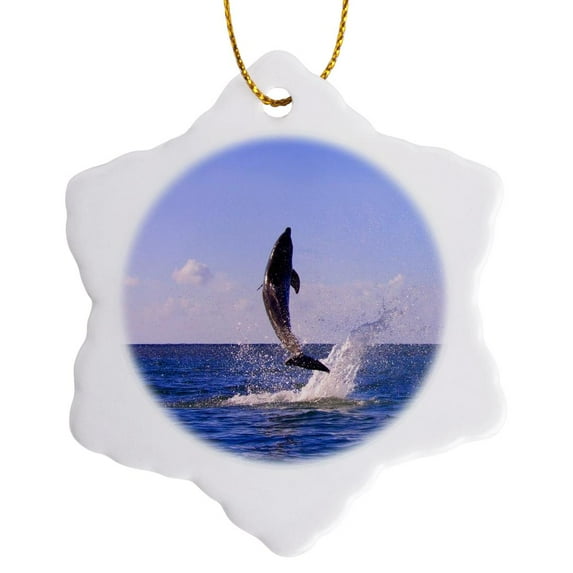 3drose, Dolphin Leaping from Sea, Roatan Island, Honduras - Sa12 Ksu0037 - Keren Su, 3 inch Snowflake Porcelain Ornament