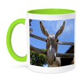 thumbnail image 1 of 3dRose, Donkey in a farm 2, 15oz Two-Tone Green Mug, 1 of 7