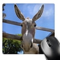 thumbnail image 1 of 3dRose, Donkey in a farm 2, MousePad, 1 of 7