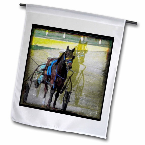 3dRose, Double Standardbred Digital Art by Angelandspot, 18 x 27 inch Garden Flag