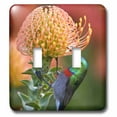 thumbnail image 1 of 3dRose, Double-collared Sunbird, South Africa-AF42 RBE0060 - Ralph H. Bendjebar, double toggle switch, 1 of 1