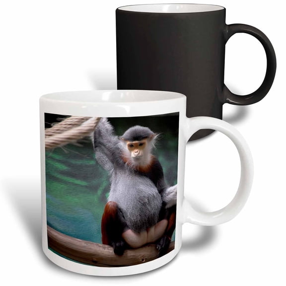 3drose, Douc Langur Monkey, 11oz Magic Transforming Mug