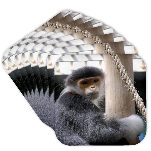 3drose, Douc Langur Monkey, Set of 8 Coasters - Soft