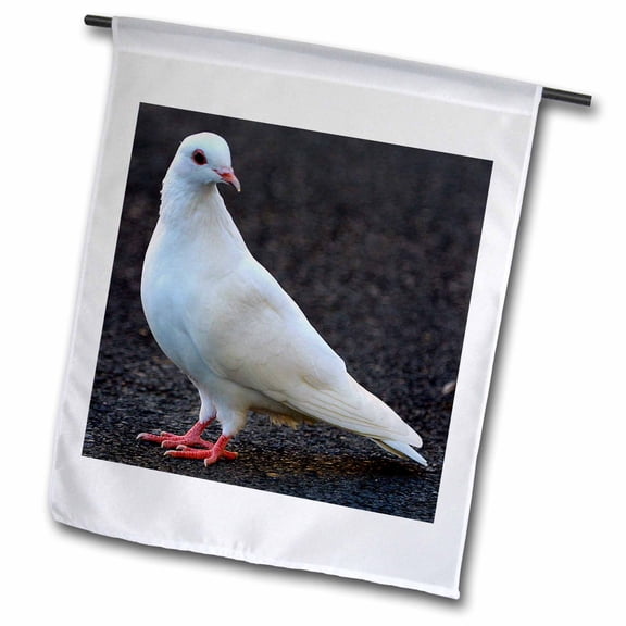 3dRose, Dove, 12 x 18 inch Garden Flag