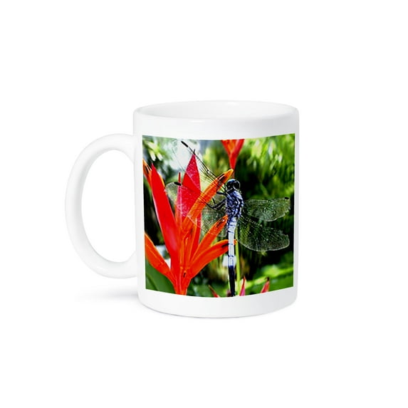 3dRose, Dragon Fly, 11oz Mug