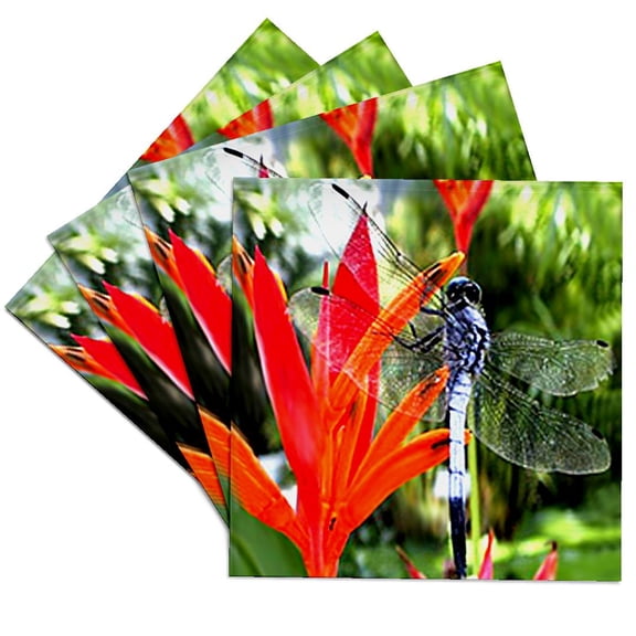 3dRose, Dragon Fly, Set of 4 Ceramic Tile Coasters