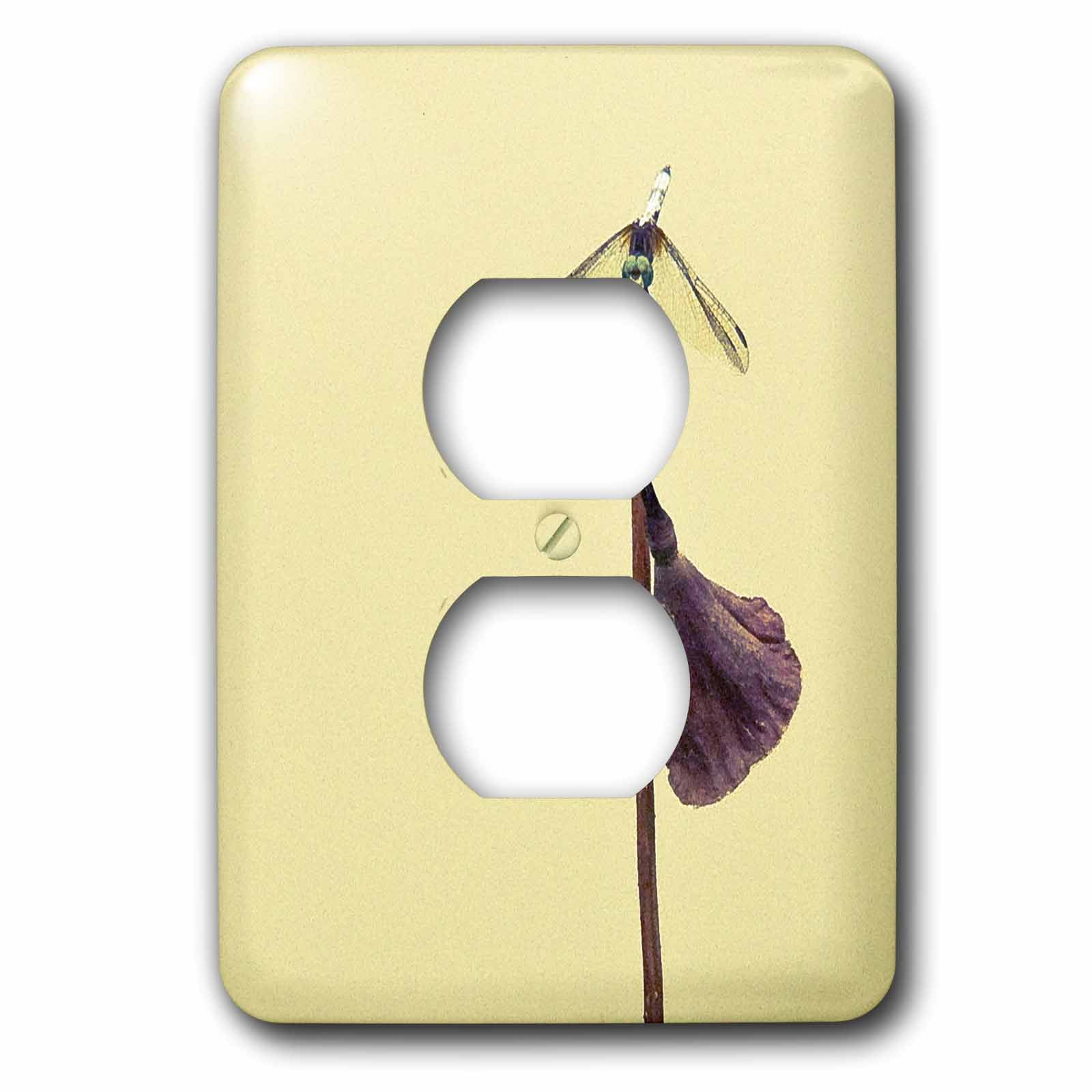 3dRose, Dragonfly , 2 plug outlet cover