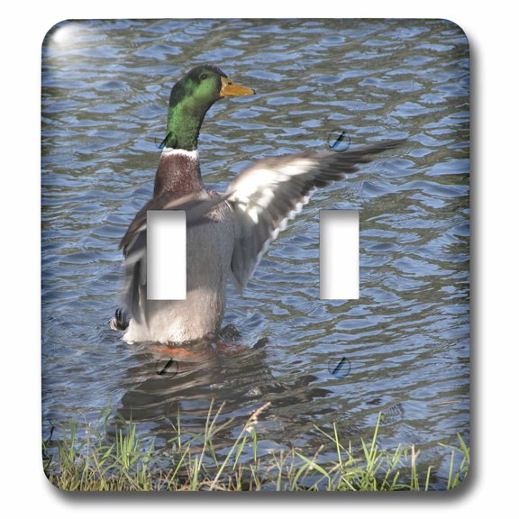 3dRose, Drake, Male Mallard Duck, double toggle switch