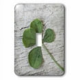thumbnail image 1 of 3dRose, Dried Four Leaf Clover Close Up, single toggle switch, 1 of 1