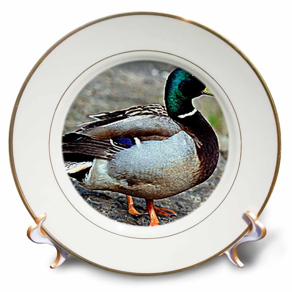 3dRose, Duck, 8 inch Porcelain Plate