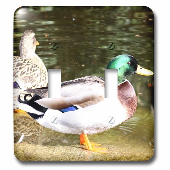 3dRose, Duck, double toggle switch