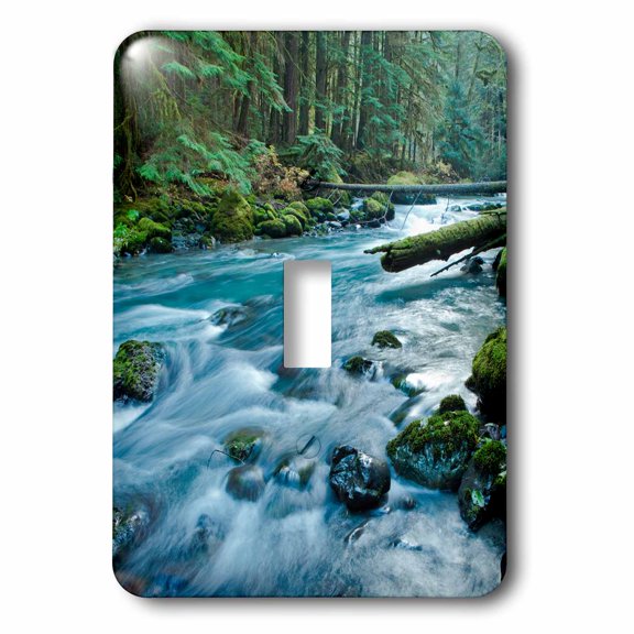 3dRose, Dungeness River in Olympic National Park, Washington, single toggle switch