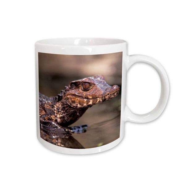 3drose, Dwarf Caiman Lizard, Reptile - Na02 Cad0039 - Claudia Adams, 15oz Mug