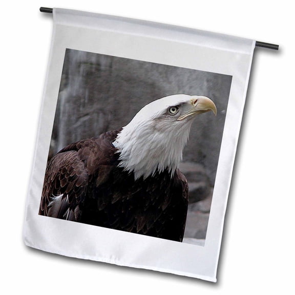 3dRose, Eagle Looking Up, 12 x 18 inch Garden Flag
