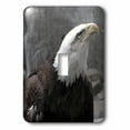 thumbnail image 1 of 3dRose, Eagle Looking Up, single toggle switch, 1 of 1