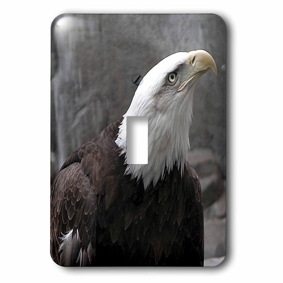 3dRose, Eagle Looking Up, single toggle switch