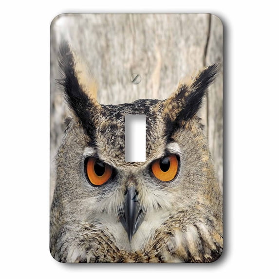 3dRose, Eagle Owl, bubo bubo, single toggle switch