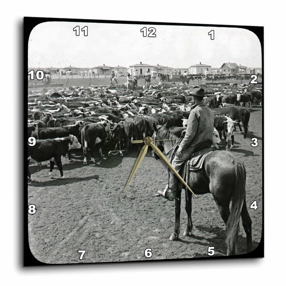 3drose, Early 1900s under a Big Blue Texas Sky Grayscale with Border, 10x10 Wall Clock