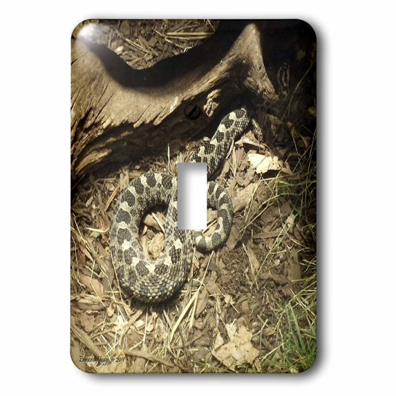 3dRose, Eastern Massasauga Rattlesnake, single toggle switch