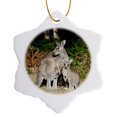 thumbnail image 1 of 3drose, Eastern Grey Kangaroo, Australia - Au01 Mzw0234 - Martin Zwick, 3 inch Snowflake Porcelain Ornament, 1 of 7
