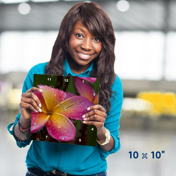 3dRose, Ecuador, Napo Wildlife, Plumeria flower - SA07 BJA0056 - Jaynes Gallery, 10x10 Wall Clock