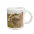 thumbnail image 1 of 3drose, Ecuador, Salitre, Dairy Farm Animal, Zebu - Sa07 Ven0018 - Victor Englebert, 11oz Mug, 1 of 6