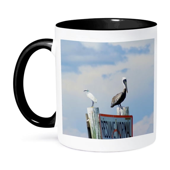 3dRose, Egret n Pelican, 11oz Two-Tone Black Mug