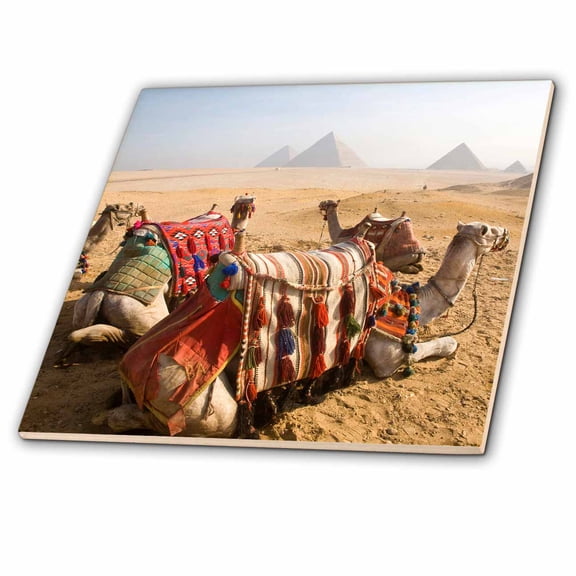 3dRose, Egypt, Cairo, Camels, desert sands of Giza Pyramids-AF14 DBR0039 - Dave Bartruff, 12 Inch Ceramic Tile