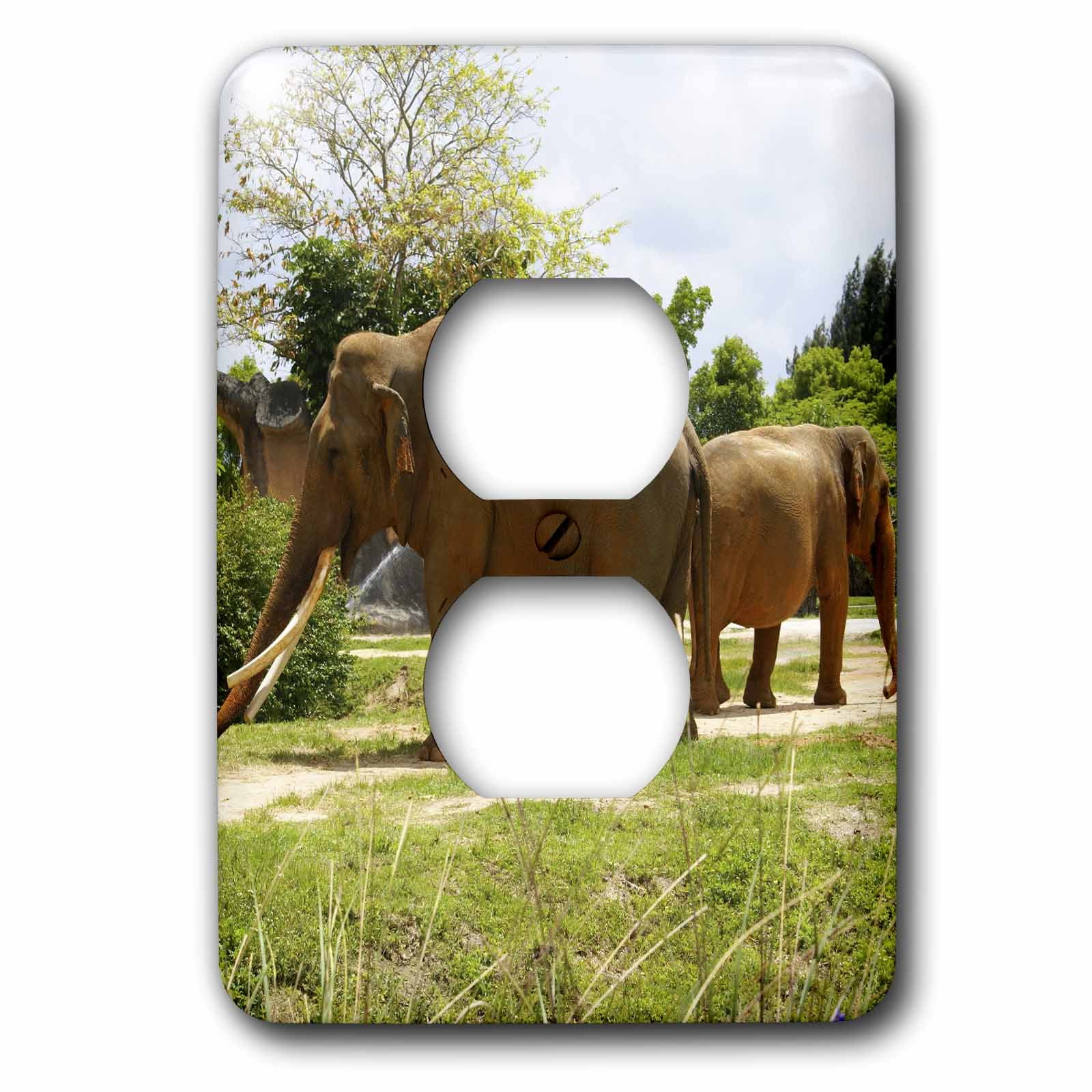 3dRose, Elephant Dance, 2 plug outlet cover