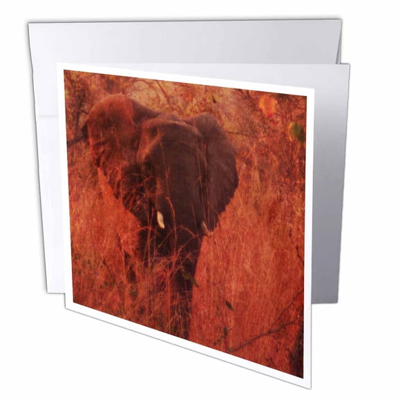 3dRose Elephant - Greeting Cards, 6 by 6-inches, set of 12