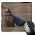thumbnail image 1 of 3dRose, Elephant Seal Calling, Piedras Blancas, CA - NA02 DNO0325 - David Northcott, MousePad, 1 of 7