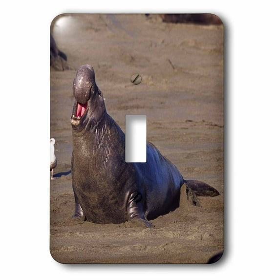 3dRose, Elephant Seal Calling, Piedras Blancas, CA - NA02 DNO0325 - David Northcott, single toggle switch