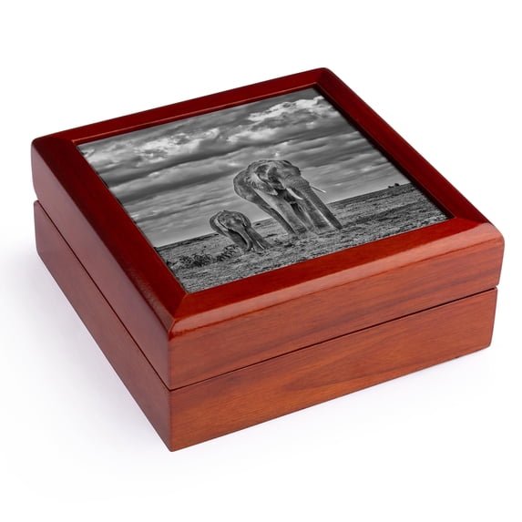 3dRose, Elephant with calf, Amboseli National Park, Jewelry Box 5.5x5.5 inch with 4 inch tile