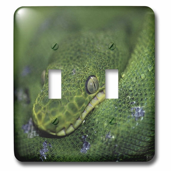 3dRose, Emerald Tree Boa, double toggle switch