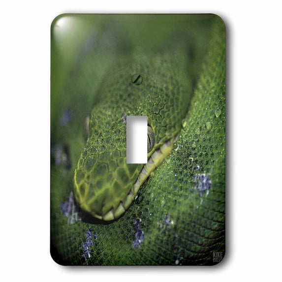 3dRose, Emerald Tree Boa, single toggle switch