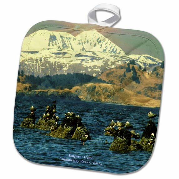 3dRose, Emperor Geese Chiniak Bay Rocks, 8x8 Potholder