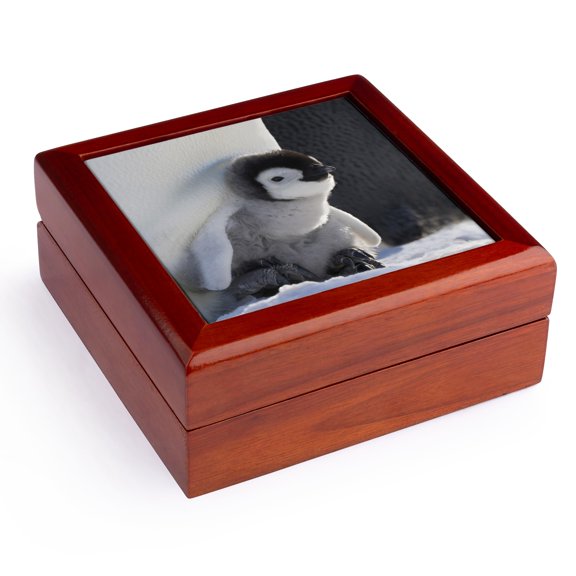 3dRose, Emperor Penguin, Snow Hill Island, Antarctica-AN02 KSU0017 - Keren Su, Jewelry Box 5.5x5.5 inch with 4 inch tile