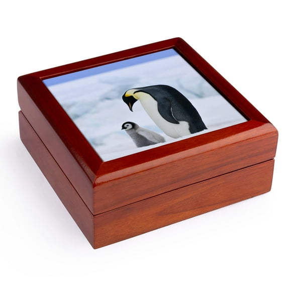 3dRose, Emperor Penguin, Snow Hill Island, Antarctica-AN02 KSU0022 - Keren Su, Jewelry Box 5.5x5.5 inch with 4 inch tile