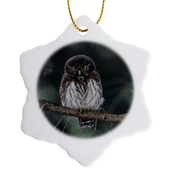 3drose, Eurasian Pygmy-owl, Oberaegeri, Switzerland - Eu29 Rnu0006 - Rolf Nussbaumer, 3 inch Snowflake Porcelain Ornament
