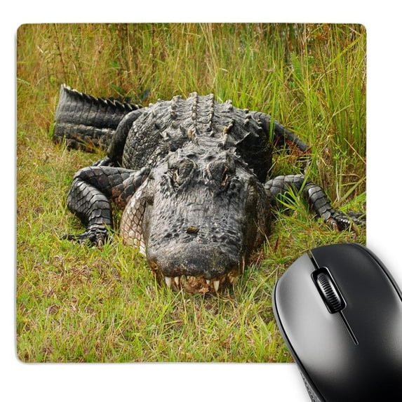 3dRose, Even Larger Florida Gator, MousePad