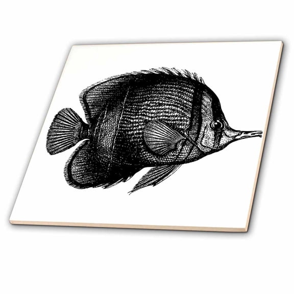 3dRose, Exotic and Tropical Vector Fish , 6 Inch Ceramic Tile