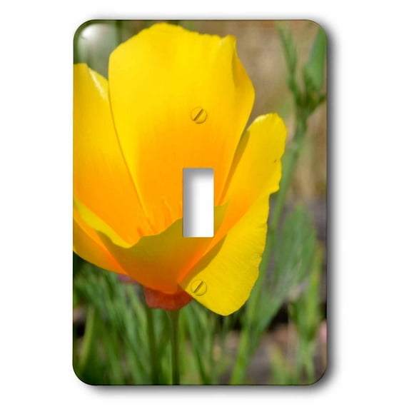 3dRose, Exquisite Poppy Flower Photography Floral, single toggle switch