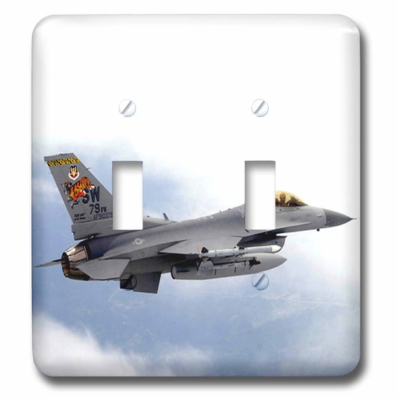 3dRose, F-16 Jet Aircraft, double toggle switch