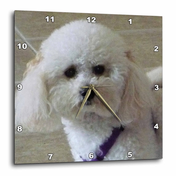 3dRose, Face Of An Angel, 10x10 Wall Clock