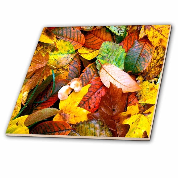 3dRose, Fall Leaves, 4 Inch Ceramic Tile